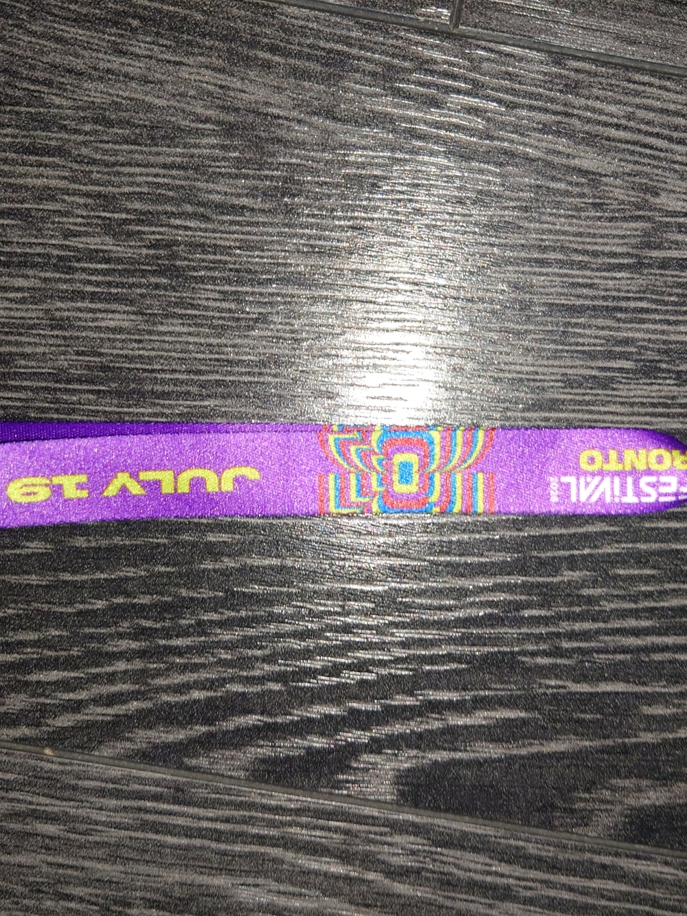 Official FIFA 2026 Fan Fest VIP Wristband - Festival Gear